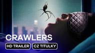 Arachnofobiky v kinech vomejou. Pavouci lezou do úst a pučí z těl v traileru na horor Crawlers